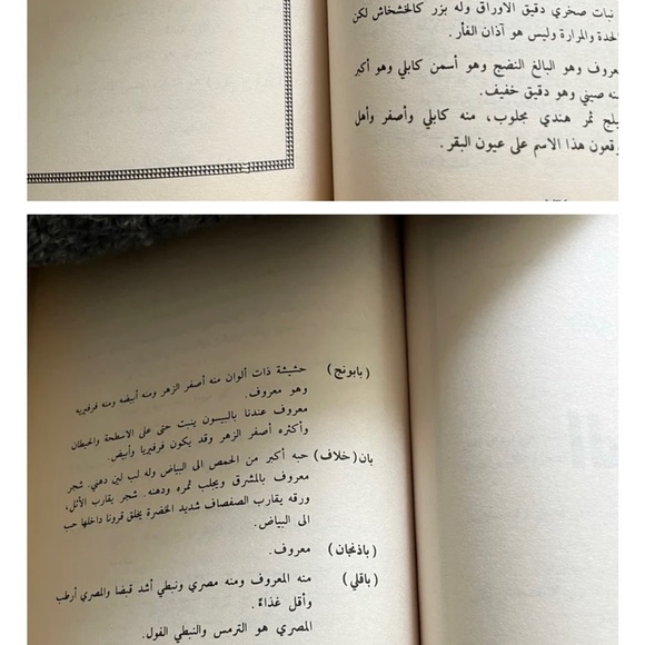 Book Arabic الرسالة الألواحية للشيخ الرئيس ابن سينا - Picture 5 of 7